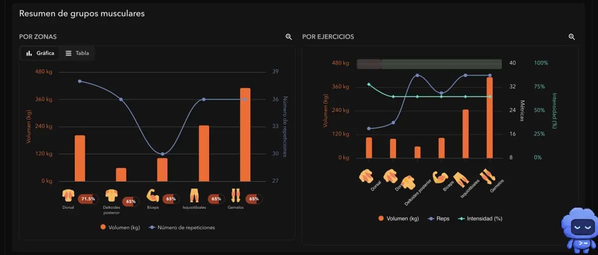 Volume, repetition and intensity analytics by muscle group in the MQ+ Dashboard.